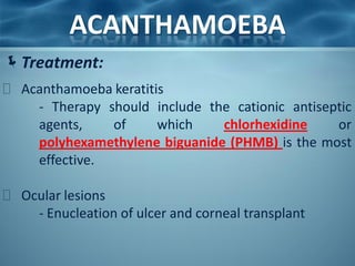 ACANTHAMOEBA
Treatment:
 Acanthamoeba keratitis
    - Therapy should include the cationic antiseptic
    agents,    of      which   chlorhexidine     or
    polyhexamethylene biguanide (PHMB) is the most
    effective.

 Ocular lesions
    - Enucleation of ulcer and corneal transplant
 