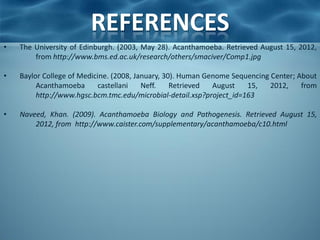 REFERENCES
•   The University of Edinburgh. (2003, May 28). Acanthamoeba. Retrieved August 15, 2012,
        from http://www.bms.ed.ac.uk/research/others/smaciver/Comp1.jpg

•   Baylor College of Medicine. (2008, January, 30). Human Genome Sequencing Center; About
         Acanthamoeba       castellani   Neff.    Retrieved  August   15,    2012,    from
         http://www.hgsc.bcm.tmc.edu/microbial-detail.xsp?project_id=163

•   Naveed, Khan. (2009). Acanthamoeba Biology and Pathogenesis. Retrieved August 15,
        2012, from http://www.caister.com/supplementary/acanthamoeba/c10.html
 