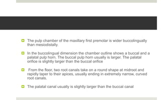  The pulp chamber of the maxillary first premolar is wider buccolingually
than mesiodistally.
 In the buccolingual dimension the chamber outline shows a buccal and a
palatal pulp horn. The buccal pulp horn usually is larger. The palatal
orifice is slightly larger than the buccal orifice
 From the floor, two root canals take on a round shape at midroot and
rapidly taper to their apices, usually ending in extremely narrow, curved
root canals.
 The palatal canal usually is slightly larger than the buccal canal
 