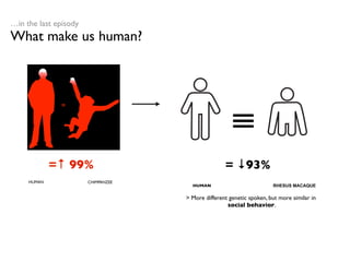 …in the last episody
What make us human?




                                                     ≡
              =




             =↑ 99%                                = ↓93%
     HUMAN             CHIMPANZEE
                                      HUMAN                           RHESUS MACAQUE

                                    > More different genetic spoken, but more similar in
                                                    social behavior.
 