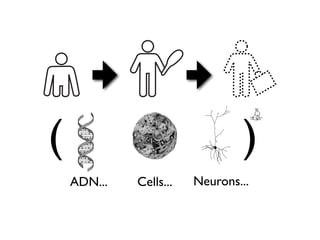 (                               )
    ADN...   Cells...   Neurons...
 