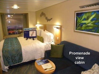 Promenade view cabin 