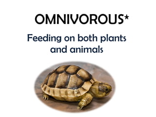 OMNIVOROUS* Feeding on both plants and animals 