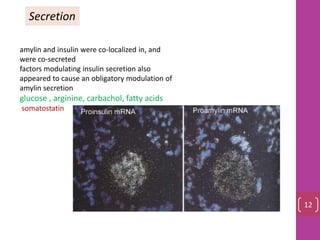 Secretion
amylin and insulin were co‐localized in, and
were co‐secreted
factors modulating insulin secretion also
appeared to cause an obligatory modulation of
amylin secretion
glucose , arginine, carbachol, fatty acids
somatostatin
12
 