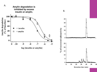 Amylin degradation is
inhibited by excess
insulin or amylin.
A.
B.
16
 