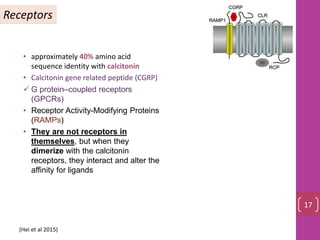 • approximately 40% amino acid
sequence identity with calcitonin
• Calcitonin gene related peptide (CGRP)
 G protein–coupled receptors
(GPCRs)
• Receptor Activity-Modifying Proteins
(RAMPs)
• They are not receptors in
themselves, but when they
dimerize with the calcitonin
receptors, they interact and alter the
affinity for ligands
Receptors
17
(Hei et al 2015)
 