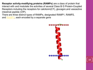 Receptor activity-modifying proteins (RAMPs) are a class of protein that
interact with and modulate the activities of several Class B G Protein-Coupled
Receptors including the receptors for calcitonin(CT), glucagon,and vasoactive
intestinal peptide (VIP).
There are three distinct types of RAMPs, designated RAMP1, RAMP2,
and RAMP3, each encoded by a separate gene
18
 