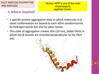 A.WhatIsAmyloid?
• a specific protein aggregation state in which molecules in β -
sheet conformation are bound to each other predominantly
by hydrogen bonds but also by other bonds
• This state of aggregation creates thin (10 nm), stable fibrils in
which the β-strands are oriented perpendicular to the fibril
axis.
ISLET AMYLOID POLYPEPTIDE
AND AMYLOID
Human IAPP is one of the most
amyloidogenic
peptides known.
20
 