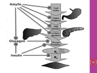 Glucose Homeostasis
• Amylin is released during the feeding/fed state in response to
nutrient entry into the gastrointestinal tract
• appetite
• glucagon
• Gastric empting
25
 