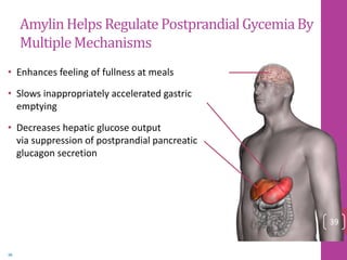 AmylinHelps Regulate PostprandialGycemiaBy
MultipleMechanisms
• Enhances feeling of fullness at meals
• Slows inappropriately accelerated gastric
emptying
• Decreases hepatic glucose output
via suppression of postprandial pancreatic
glucagon secretion
39
Young A. Adv Pharmacol. 2005;52:67-77.
39
 