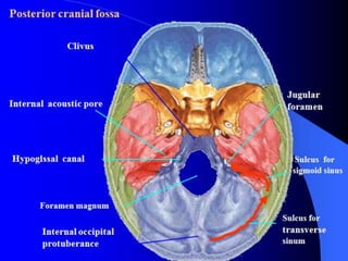 Anaesthesia for posterior fossa surgery