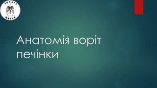 Анатомія воріт
печінки
 