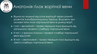 Анатомія гілок ворітної вени
 Відносно низький відсоток варіацій через ранній
розвиток в ембріональному періоді. Виділяють три
основні типи гілок портальної вени в ділянці воріт.
 I тип – звичайний – права передня гілка відходить від
загального правого стовбуру портальної вени
 II тип – з трьома гілками –правий стовбур портальної
вени відсутній
 III тип – лівогілковий – права передня гілка відходить від
лівого стовбуру портальної вени
 