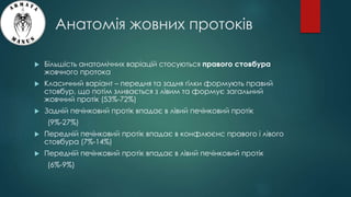 Анатомія жовних протоків
 Більшість анатомічних варіацій стосуються правого стовбура
жовчного протока
 Класичний варіант – передня та задня гілки формують правий
стовбур, що потім зливається з лівим та формує загальний
жовчний протік (53%-72%)
 Задній печінковий протік впадає в лівий печінковий протік
(9%-27%)
 Передній печінковий протік впадає в конфлюєнс правого і лівого
стовбура (7%-14%)
 Передній печінковий протік впадає в лівий печінковий протік
(6%-9%)
 