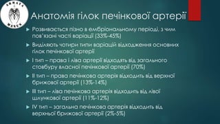 Анатомія гілок печінкової артерії
 Розвивається пізно в ембріональному періоді, з чим
пов’язані часті варіації (33%-45%)
 Виділяють чотири типи варіацій відходження основних
гілок печінкової артерії
 I тип – права і ліва артерії відходять від загального
стовбуру власної печінкової артерії (70%)
 II тип – права печінкова артерія відходить від верхної
брижової артерії (13%-14%)
 III тип – ліва печінкова артерія відходить від лівої
шлункової артерії (11%-12%)
 IV тип – загальна печінкова артерія відходить від
верхньої брижової артерії (2%-5%)
 