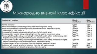 Міжнародно визнані класифікації
 