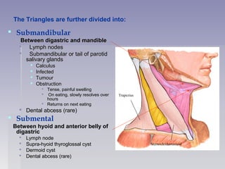 The Triangles are further divided into:
 Submandibular
Between digastric and mandibleBetween digastric and mandible
 Lymph nodesLymph nodes
 Submandibular or tail of parotidSubmandibular or tail of parotid
salivary glandssalivary glands
 CalculusCalculus
 InfectedInfected
 TumourTumour
 ObstructionObstruction
 Tense, painful swellingTense, painful swelling
 On eating, slowly resolves overOn eating, slowly resolves over
hourshours
 Returns on next eatingReturns on next eating
 Dental abcess (rare)Dental abcess (rare)
 Submental
Between hyoid and anterior belly of
digastric
 Lymph nodeLymph node
 Supra-hyoid thyroglossal cystSupra-hyoid thyroglossal cyst
 Dermoid cystDermoid cyst
 Dental abcess (rare)Dental abcess (rare)
Sternocleidomastoid
Trapezius
 