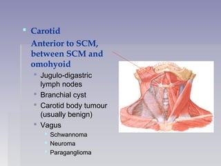  Carotid
Anterior to SCM,
between SCM and
omohyoid
 Jugulo-digastricJugulo-digastric
lymph nodeslymph nodes
 Branchial cystBranchial cyst
 Carotid body tumourCarotid body tumour
(usually benign)(usually benign)
 VagusVagus
 SchwannomaSchwannoma
 NeuromaNeuroma
 ParagangliomaParaganglioma
 