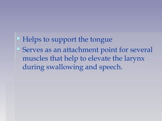  Helps to support the tongue
 Serves as an attachment point for several
muscles that help to elevate the larynx
during swallowing and speech.  
 