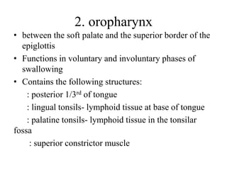 Anatomy-pharynx | PPT