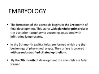 Anatomy of adenoid | PPT