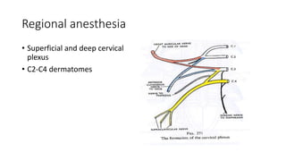 Regional anesthesia
• Superficial and deep cervical
plexus
• C2-C4 dermatomes
 