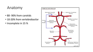 Anatomy
• 80- 90% from carotids
• 10-20% from vertebrobasilar
• Incomplete in 15 %
 