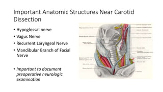 Important Anatomic Structures Near Carotid
Dissection
• Hypoglossal nerve
• Vagus Nerve
• Recurrent Laryngeal Nerve
• Mandibular Branch of Facial
Nerve
• Important to document
preoperative neurologic
examination
 