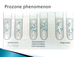 Antigen antibody reactions