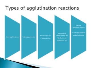 Antigen antibody reactions