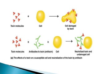 Antigen antibody reactions