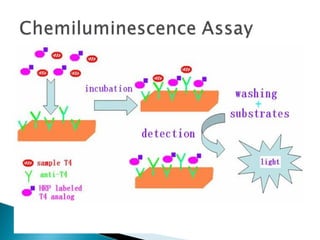 Antigen antibody reactions