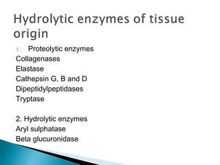 1. Proteolytic enzymes
Collagenases
Elastase
Cathepsin G, B and D
Dipeptidylpeptidases
Tryptase
2. Hydrolytic enzymes
Aryl sulphatase
Beta glucuronidase
 