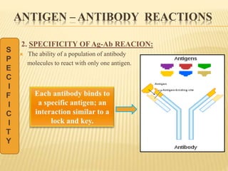 ANTIGEN – ANTIBODY REACTIONS
2. SPECIFICITY OF Ag-Ab REACION:
 The ability of a population of antibody
molecules to react with only one antigen.
S
P
E
C
I
F
I
C
I
T
Y
 