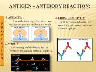 ANTIGEN – ANTIBODY REACTION:
1. AFFINITY:
 It refers to the intensity of the attraction
between antigen and antibody molecule.
2. AVIDITY:
 It is the strength of the bond after the
formation antigen and antibody complex.
3. CROSS REACTIVITY:
 The ability of an individual Ab
combining site to react with more
than one epitope
P
R
O
P
E
R
T
I
E
S
 