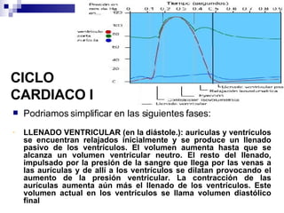 CICLO CARDIACO I Podriamos simplificar en las siguientes fases: LLENADO VENTRICULAR (en la diástole.): auriculas y ventrículos se encuentran relajados inicialmente y se produce un llenado pasivo de los ventrículos. El volumen aumenta hasta que se alcanza un volumen ventricular neutro. El resto del llenado, impulsado por la presión de la sangre que llega por las venas a las aurículas y de allí a los ventrículos se dilatan provocando el aumento de la presión ventricular. La contracción de las aurículas aumenta aún más el llenado de los ventrículos. Este volumen actual en los ventrículos se llama volumen diastólico final 