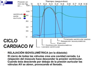 CICLO  CARDIACO IV RELAJACIÓN ISOVOLUMÉTRICA (en la diástole): El cierre de todas las válvulas crea una cavidad cerrada. La relajación del músculo hace descender la presión ventricular. Cuando ésta desciende por debajo de la presión auricular las válvulas AV se abren, provocando el llenado. 