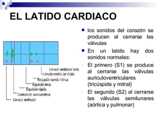 EL LATIDO CARDIACO los sonidos del corazón se producen al cerrarse las válvulas En un latido hay dos sonidos normales: El primero (S1) se produce al cerrarse las válvulas auriculoventriculares (tricúspide y mitral) El segundo (S2) al cerrarse las válvulas semilunares (aórtica y pulmonar) 