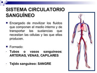 SISTEMA CIRCULATORIO SANGUÍNEO Encargado de movilizar los fluidos que componen el medio interno y de transportar las sustancias que necesitan las células y las que ellas producen. Formado:  Tubos o vasos sanguíneos:  ARTERIAS, VENAS, CAPILARES Tejido sanguíneo: SANGRE 