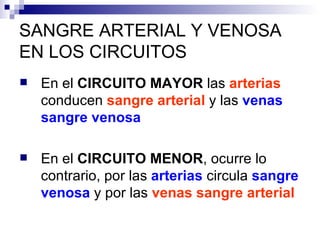 SANGRE ARTERIAL Y VENOSA EN LOS CIRCUITOS En el  CIRCUITO MAYOR  las  arterias  conducen  sangre arterial   y las  venas   sangre venosa En el  CIRCUITO MENOR , ocurre lo contrario, por las  arterias   circula  sangre venosa  y por las  venas sangre arterial 