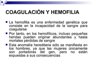 COAGULACIÓN Y HEMOFILIA   La hemofilia es una enfermedad genética que consiste en la incapacidad de la sangre para coagularse Por tanto, en los hemofílicos, incluso pequeñas heridas pueden originar abundantes y hasta mortales pérdidas de sangre Esta anomalía hereditaria sólo se manifiesta en los hombres, ya que las mujeres únicamente son portadoras del gen, pero no están expuestas a sus consecuencias  