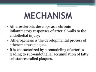 MECHANISM
• Atherosclerosis develops as a chronic
inflammatory responses of arterial walls to the
endothelial injury.
• Atherogenesis is the developmental process of
atheromatous plaques.
• It is characterized by a remodeling of arteries
leading to sub-endothelial accumulation of fatty
substances called plaques.
 