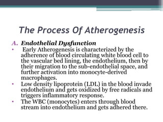 The Process Of Atherogenesis
A. Endothelial Dysfunction
• Early Atherogenesis is characterized by the
adherence of blood circulating white blood cell to
the vascular bed lining, the endothelium, then by
their migration to the sub-endothelial space, and
further activation into monocyte-derived
macrophages.
• Low density lipoprotein (LDL) in the blood invade
endothelium and gets oxidized by free radicals and
triggers inflammatory response.
• The WBC (monocytes) enters through blood
stream into endothelium and gets adhered there.
 