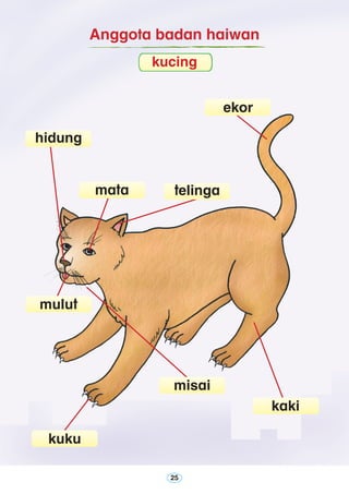 25
Anggota badan haiwan
ekor
hidung
mata telinga
mulut
kuku
misai
kaki
kucing
 