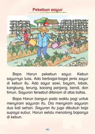 29
	 Bapa Harun pekebun sayur. Kebun
sayurnya luas. Ada berbagai-bagai jenis sayur
di kebun itu. Ada sayur sawi, bayam, lobak,
kangkung, terung, kacang panjang, bendi, dan
timun. Sayuran tersebut ditanam di atas batas.
	 Bapa Harun bangun pada waktu pagi untuk
menyiram sayuran itu. Dia menyiram sayuran
dua kali sehari. Sayuran itu juga dibubuh baja
supaya subur. Harun selalu menolong bapanya
di kebun.
Pekebun sayur
29
 