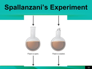 Spallanzani’s Experiment 
13 
 