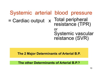 Systemic arterial blood pressure
= Cardiac output x Total peripheral
resistance (TPR)
or

Systemic vascular
reistance (SVR)
The 2 Major Determinants of Arterial B.P.
The other Determinants of Arterial B.P.?
10

 