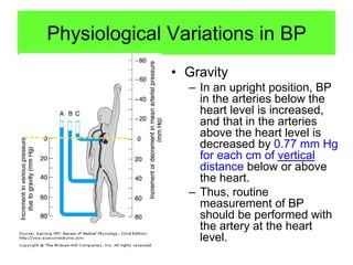 Physiological Variations in BP
• Gravity
– In an upright position, BP
in the arteries below the
heart level is increased,
and that in the arteries
above the heart level is
decreased by 0.77 mm Hg
for each cm of vertical
distance below or above
the heart.
– Thus, routine
measurement of BP
should be performed with
the artery at the heart
level.

 