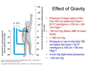 Effect of Gravity
• Pressure in large artery in the
foot 105 cm below the heart =
[0.77 mmHg/cm x 105 cm = 80
mm Hg)] +
• 100 mm Hg (Mean ABP at heart
level)
• = 180 mm Hg
• Pressure in vein in the foot 105
cm below the heart = [0.77
mmHg/cm x 105 cm = 80 mm
Hg)] +
• 4 mm Hg (right atrial pressure)
• = 84 mm Hg

 