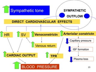 Sympathetic tone

SYMPATHETIC
OUTFLOW

DIRECT CARDIOVASCULAR EFFECTS

HR

SV

Venoconstrictn

Arteriolar constrictn
Capillary pressure

Venous return
ISF formation

CARDIAC OUTPUT

TPR
Plasma loss

BLOOD PRESSURE

23

 